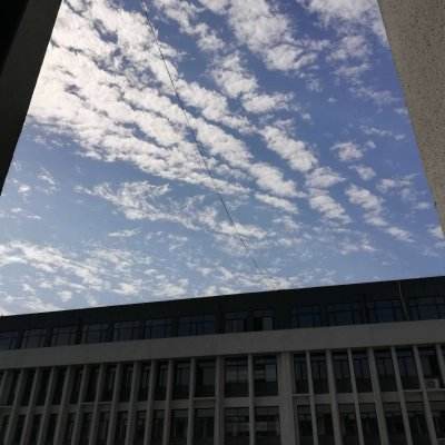 完美红颜最新版下载